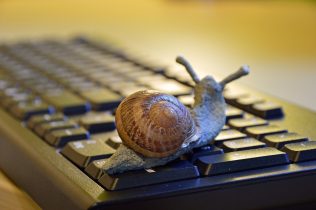 snail-3901655_1280-316x210  