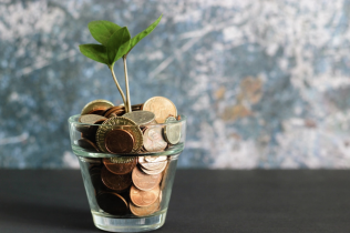 Plant Growing Out of Coins in a Glass