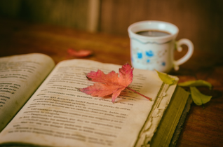 Orange Leaf Sitting on a Book