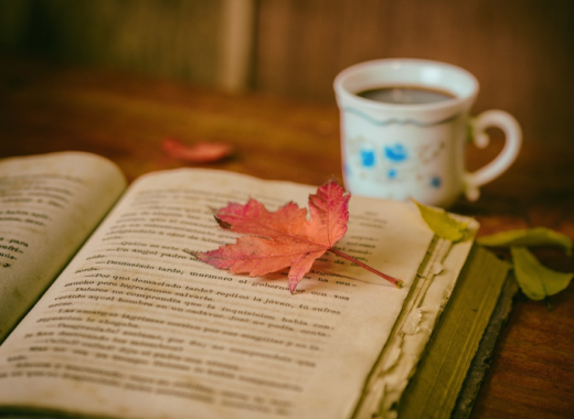 Orange Leaf Sitting on a Book
