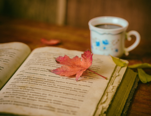 Orange Leaf Sitting on a Book