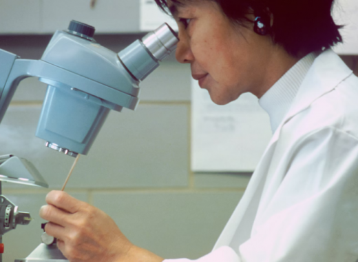 Asian Medical Researcher Looking into a Microscope