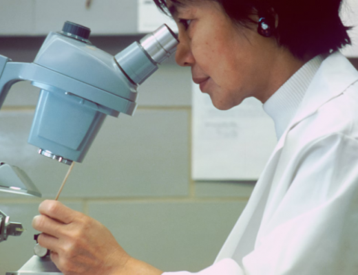 Asian Medical Researcher Looking into a Microscope