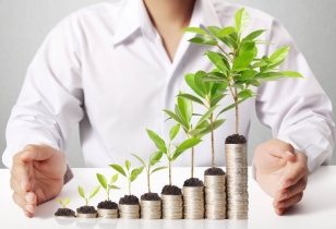 Stack of Coins with Plants Growing Out of Them