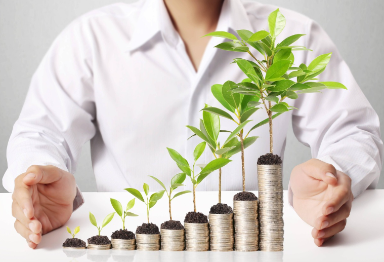 Stack of Coins with Plants Growing Out of Them