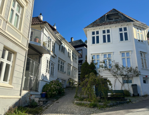 Houses in a Neighborhood