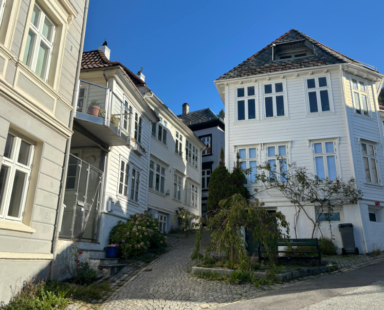 Houses in a Neighborhood
