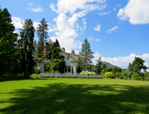 Home with a Beautiful Yard